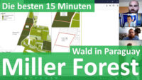 Miller Forest
