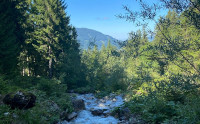 Allgäuer Berge